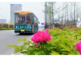 牡丹开出文旅新意 凯发k8官网入口助洛阳迎盛会